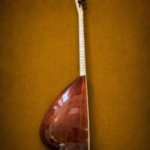 43 cm Ardıç