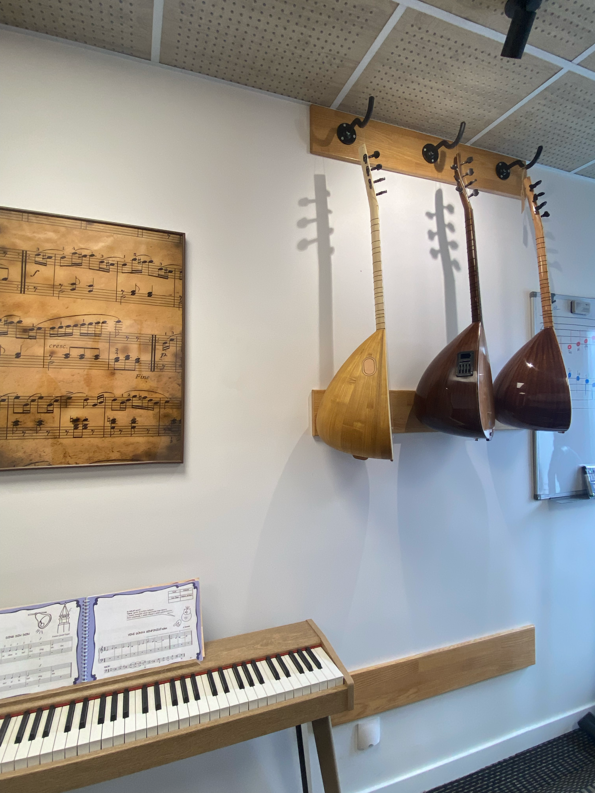 Bağlama detay